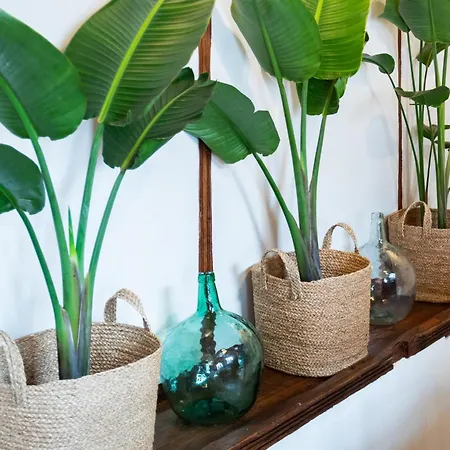 Tizon 度假村 加拉奇科